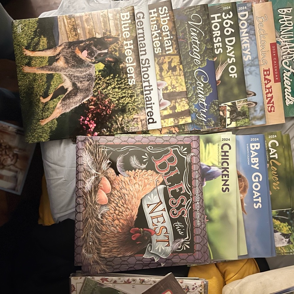 NIP 24/25 wall calendars all new